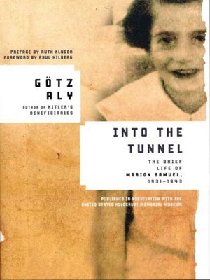 cover image of Into the Tunnel
